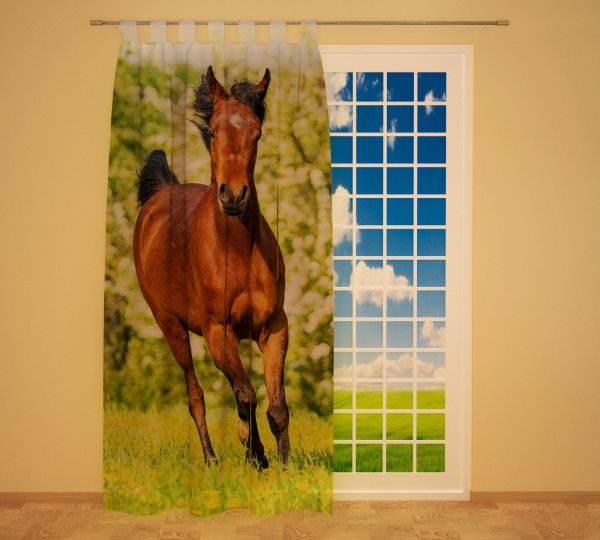 Foto Schlaufenschal Vorhang Gardine "Pferd auf Wiese"